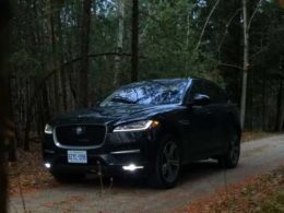 8 Best Adorable and Safe Family Cars of 2017