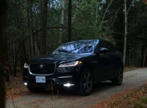 8 Best Adorable and Safe Family Cars of 2017