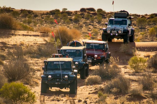 Free as a Bird: Exploring the Jeep Lifestyle
